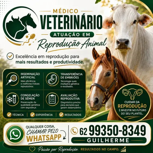 MEDICO VETERINÁRIO