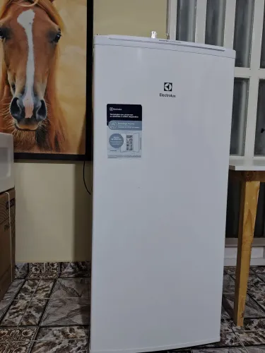 Freezer Vertical Eletrolux 165 l tecnologia inverter Seminovo Top ....
