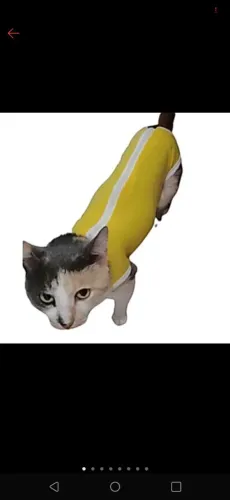 Roupa Pós Cirúrgica para Gatos Tamanho 2