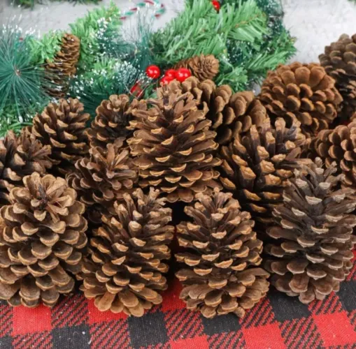 Pinhas de natal naturais 7 a 15 cm