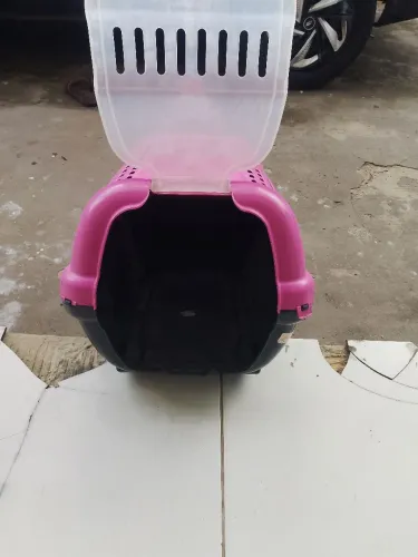 Casinha para pet