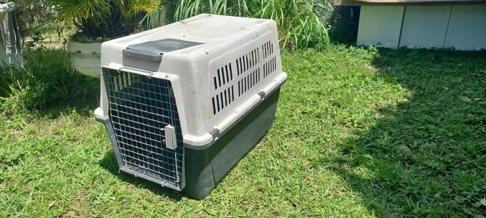 CASOTA DE TRANSPORTE PARA CÃES GRANDES(Porte Maior)
