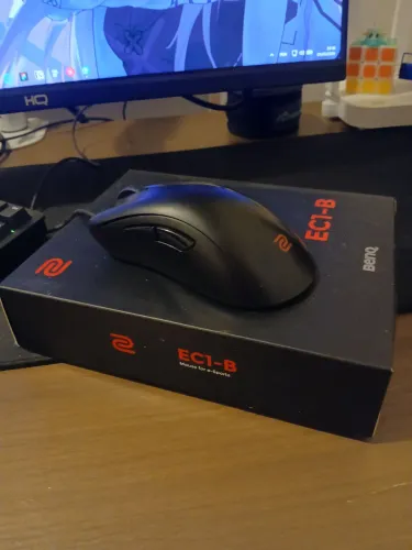 Mouse BenQ Zowie EC1-B
