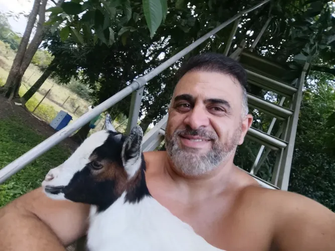 Mini cabra 