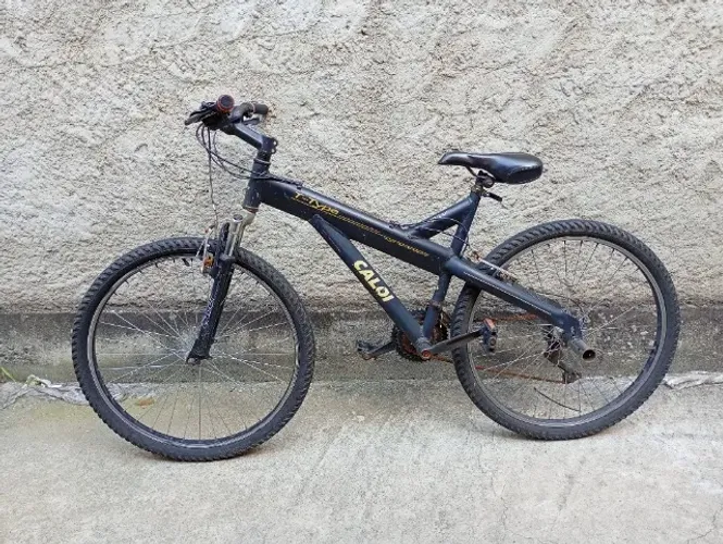 Bicleta