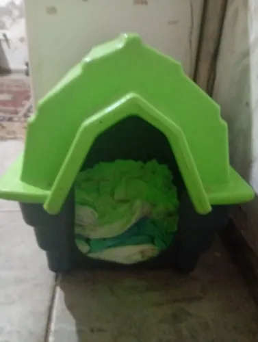 Casinha de cachorro n 1