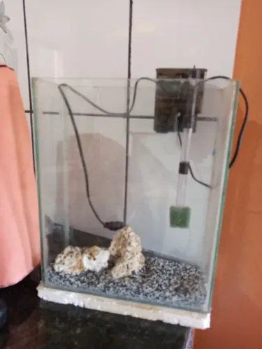 Aquário pequeno completo