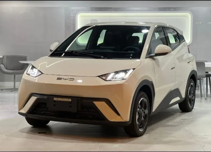 BYD Dolphin Mini (Elétrico) 2027