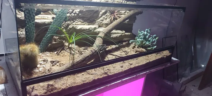 Terrario montado100x40x40 