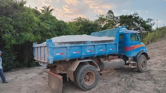 Caminhão 1113