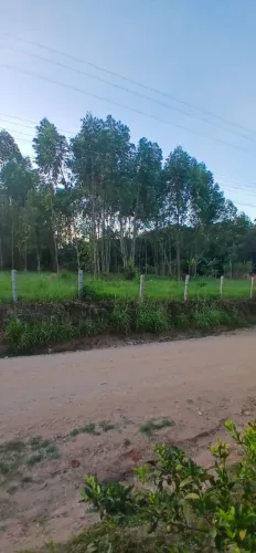 Terreno bairro da pescaria 