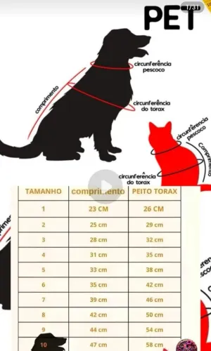 Roupa cirúrgica para cães e gatos fêmeas.