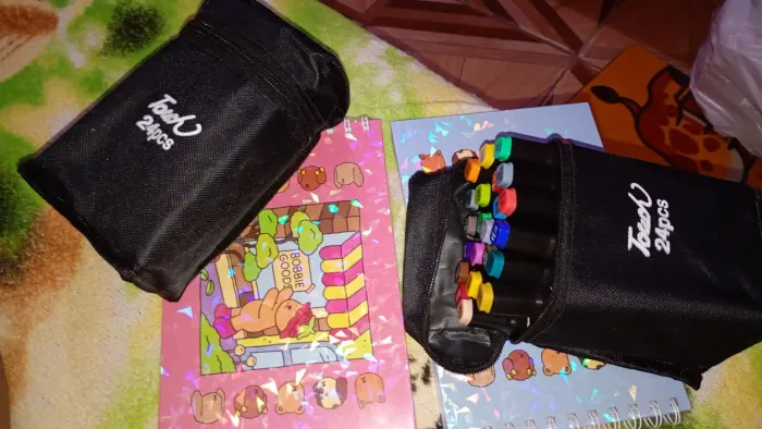 Vendo esses kits de canetinhas e bobbie goods
