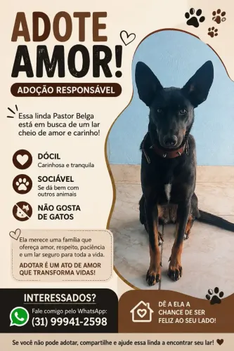 Adoção responsável