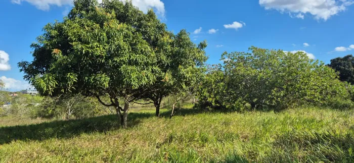 Lote a 4km da praça do Tomba