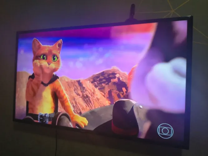 Tv de 55 não é smartv,só pega samrt se colocar o aparelho que transforma roku .