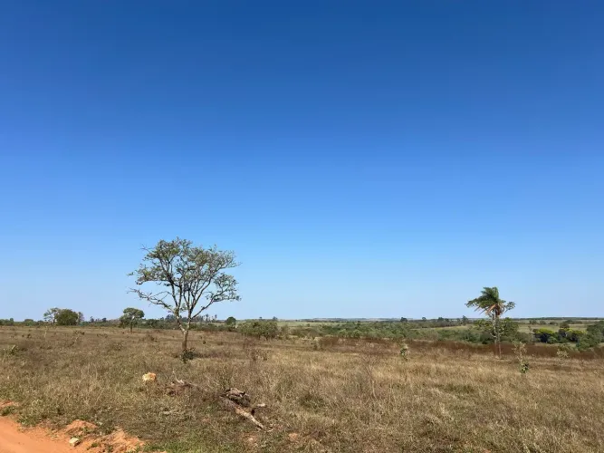 vendo fazenda Uberaba Santa rosa