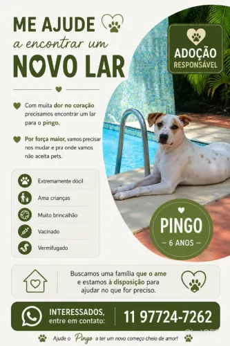 Doação responsável 