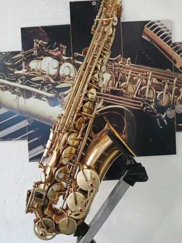 Saxofone Alto Shelter Revisado Envio Imediato para Todo Brasil