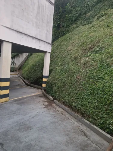 RR jardinagem
