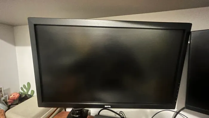 Monitor Benq Rl2455hm