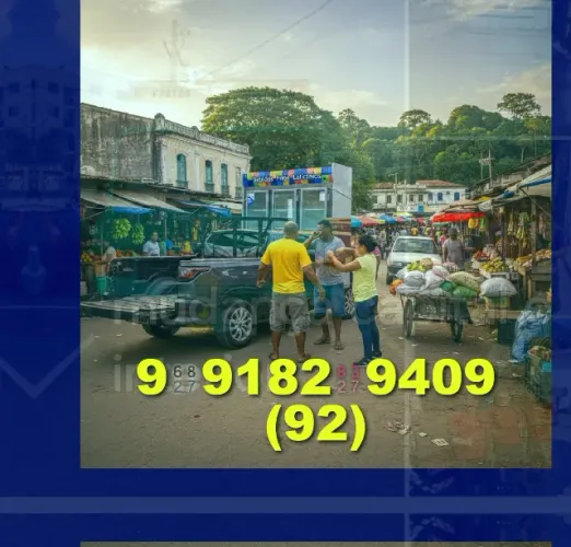 frete em novo horizonte, manaus e jardim cidade de deus
