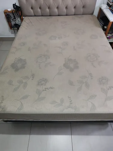 Box + Cama Casal Pró - Saúde Ultra Firme