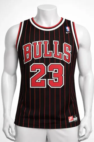 Regata de Basquete do Chicago Bulls