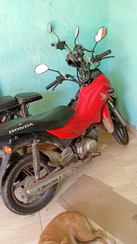 POP 11Oi 2021