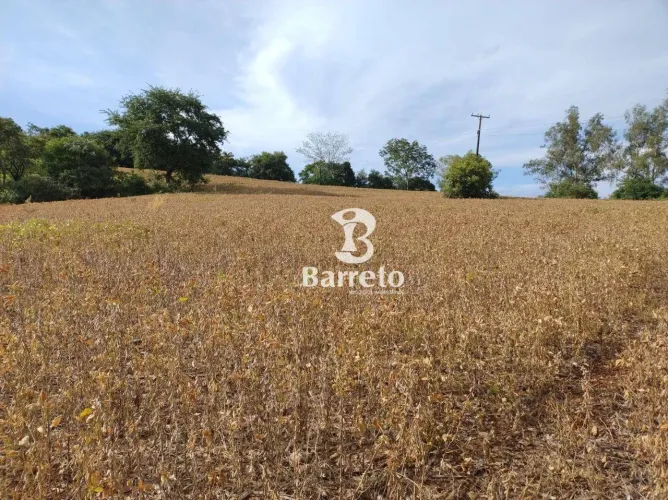 Chácara à venda, 80944 m² por R$ 1.800.000 - Ibiporã - Ibiporã/PR