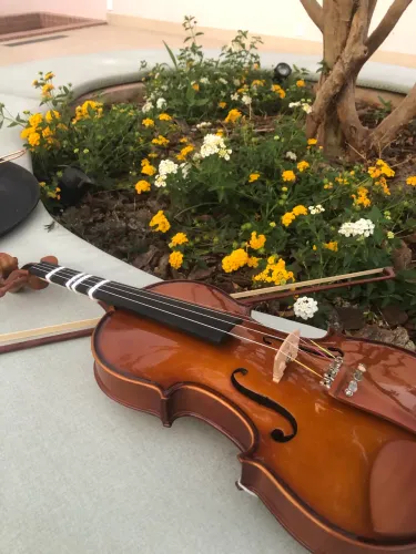 Violino completo (arco, breu, e estojo)