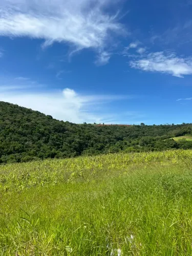 Seu Novo Lar Começa Pelo Terreno Certo