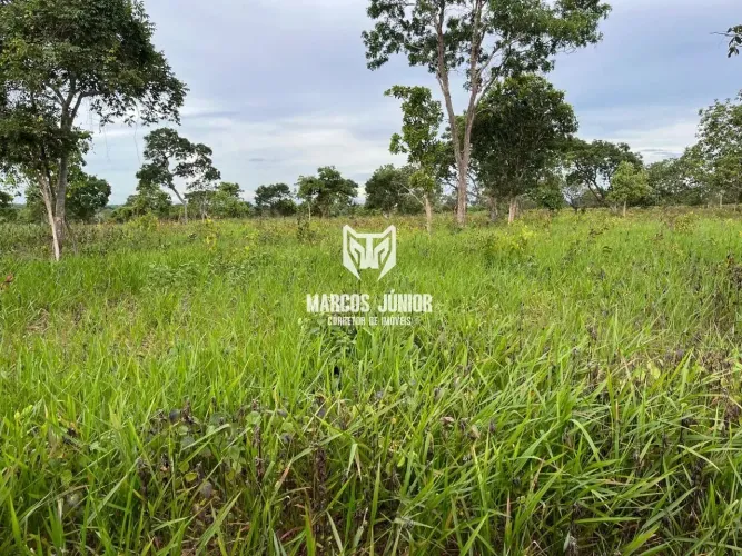 FAZENDA NA REGIÃO DE SÃO FRANCISCO DE 1000 HECTARES PARA PECUARIA NORTE DE MINAS
