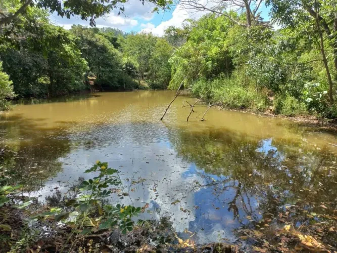 Imperdível oportunidade: Fazenda à venda em Taquaraçu de Minas-MG, Zona Rural - 4 quartos,