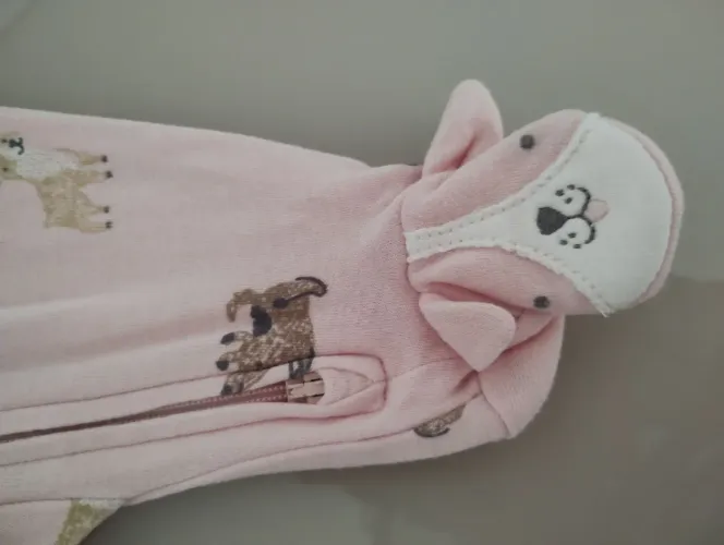 Roupa de bebê Carter's 