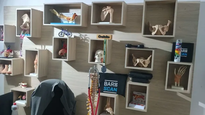 Modelos anatômicos variados