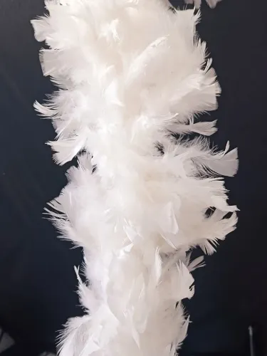Plumas branca
