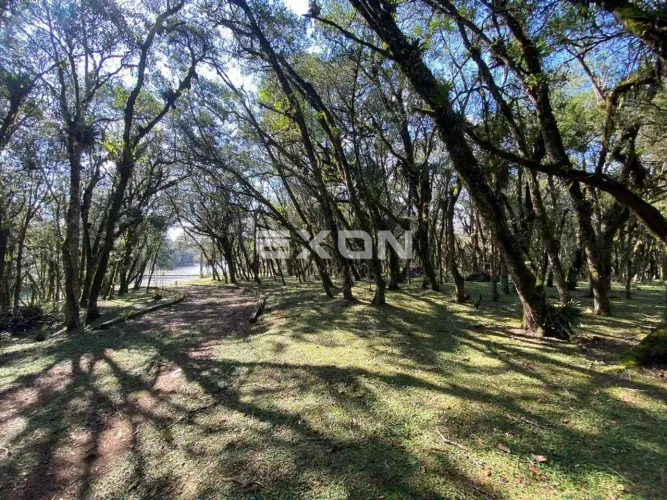 Chácara à Venda em Contenda - São José dos Pinhais