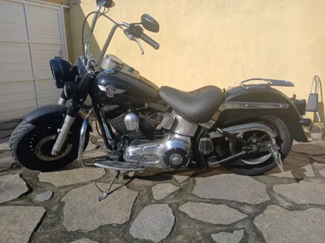 Harley-davidson Softail Classic Flstc