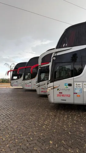 Temos uma grande variedade de ônibus usados