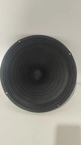 Alto-Falante de 10 Polegadas R$:100 Reais