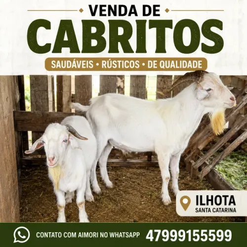 Vendo Cabritos/Bodes