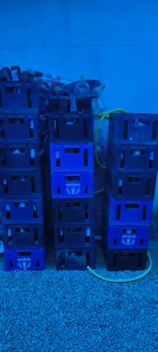 Caixa de cerveja Antarctica