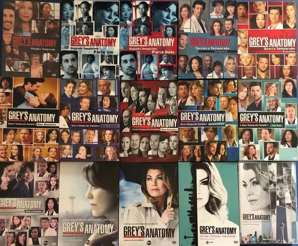 Greys Anatomy (temporadas 1 a 14) Completo DVD