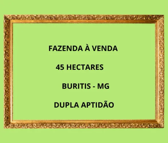 Fazenda 45 ha em Buritis-MG: Água Abundante, Topografia Plana, Estruturas Novas