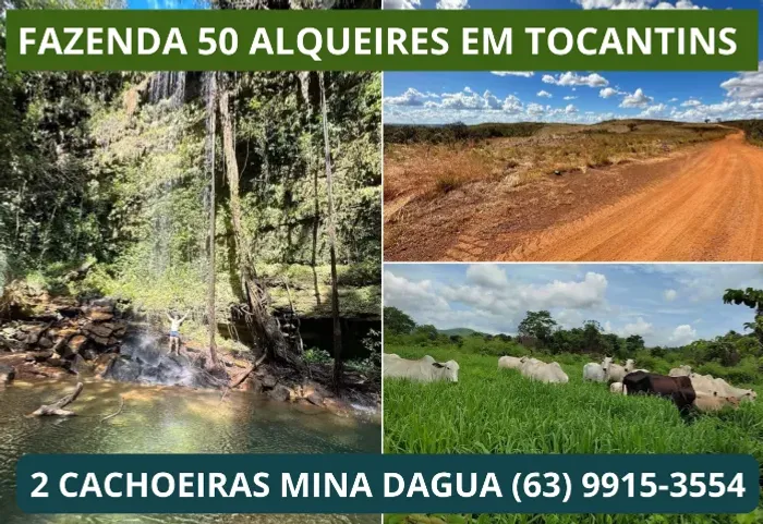 Fazenda em Tocantins, Porto Nacional erra, Lavoura, Platanção, Soja, Cana, Canavial, Cerca