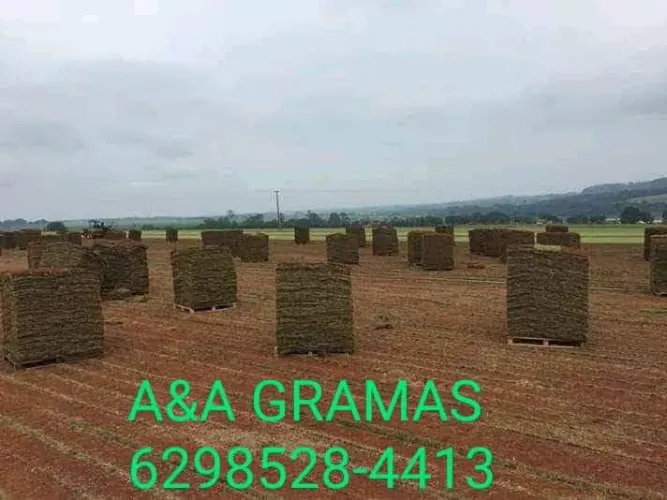 Grama para Jardim - A&A Gramas
