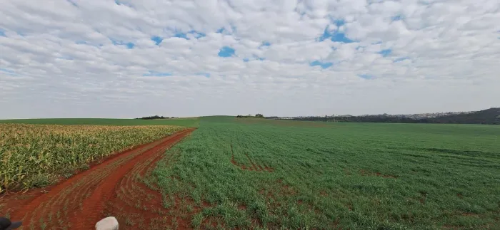 Fazenda de oportunidade 1 +5 pagamentos
