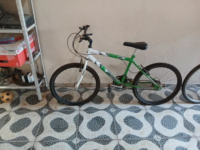 Bicicleta Adulto 