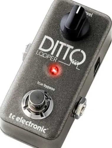Pedal ditto looper 